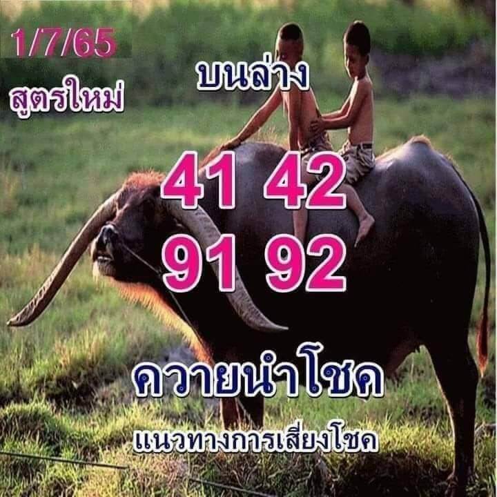 เลขเด็ด หวยควายนำโชค 1/7/65