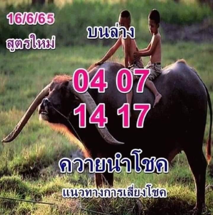 หวยซอง หวยควายนำโชค 16/6/65