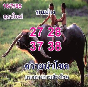 หวยซอง หวยควายนำโชค 16/7/65