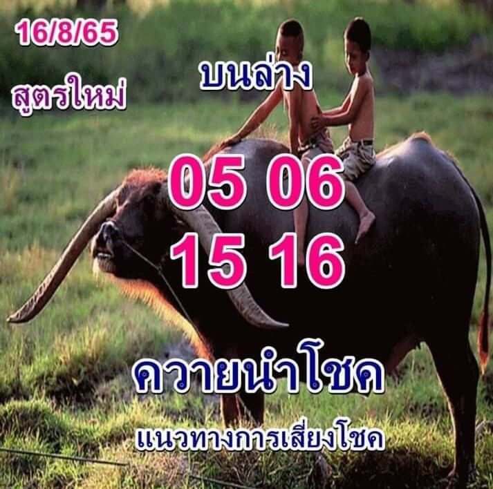 หวยซอง หวยควายนำโชค16/8/65