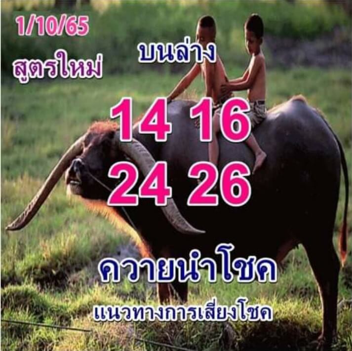 หวยซอง หวยควายนำโชค1/10/65