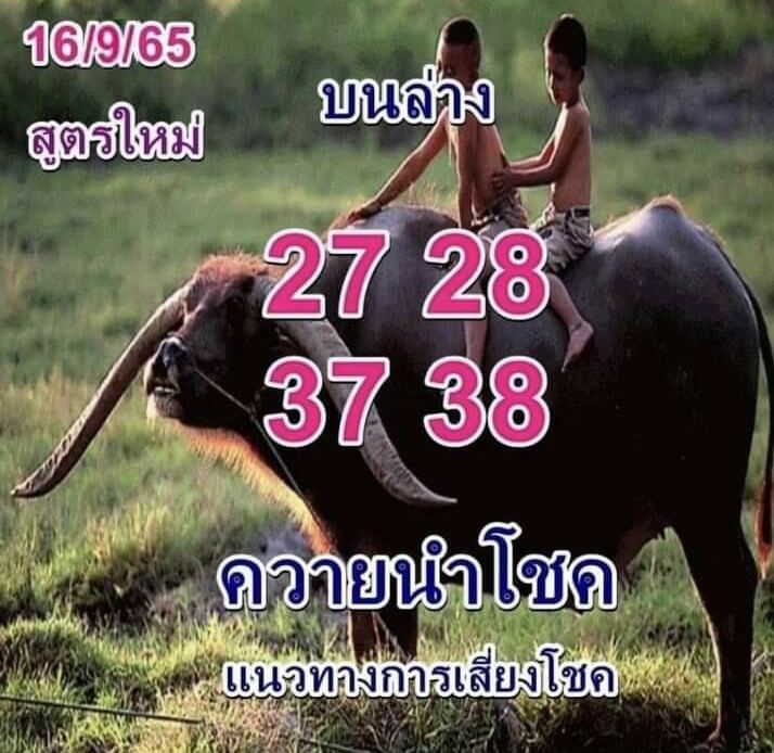 เลขเด็ด หวยควายนำโชค 16/9/65