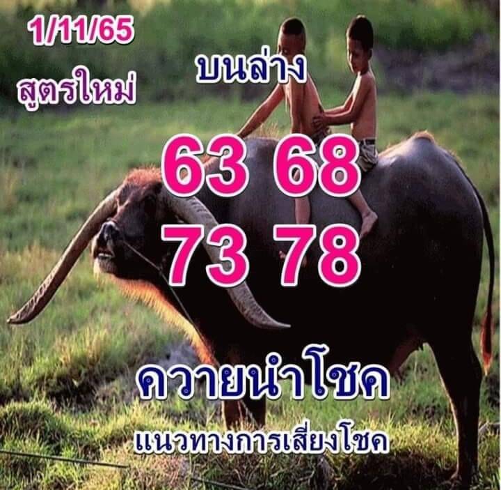 เลขเด็ด หวยควายนำโชค 1-11-65