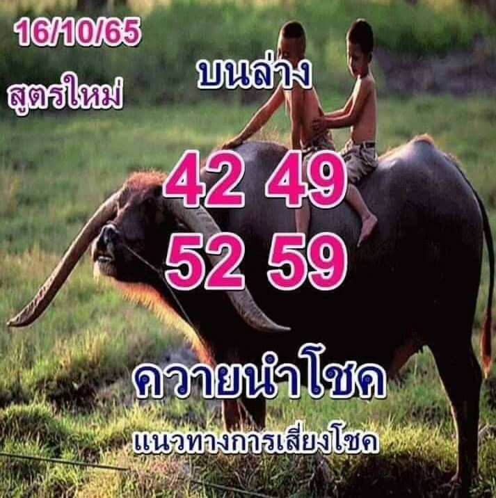 หวยซอง หวยควายนำโชค16/10/65