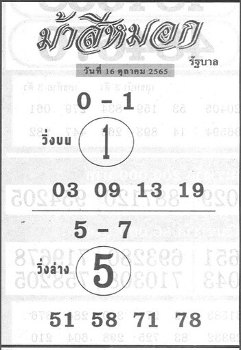 เลขเด็ด หวยม้าสีหมอก 16/10/65