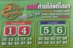 เลขดัง หวยมังกรเมรัย 30-12-65