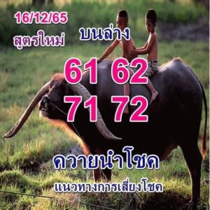 หวยซอง หวยควายนำโชค 16-12-65