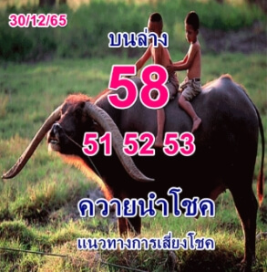 เลขเด็ด หวยควายนำโชค 30-12-65