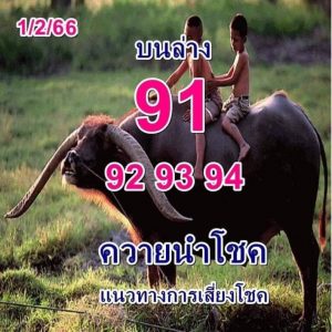 หวยควายนำโชค 1-2-66