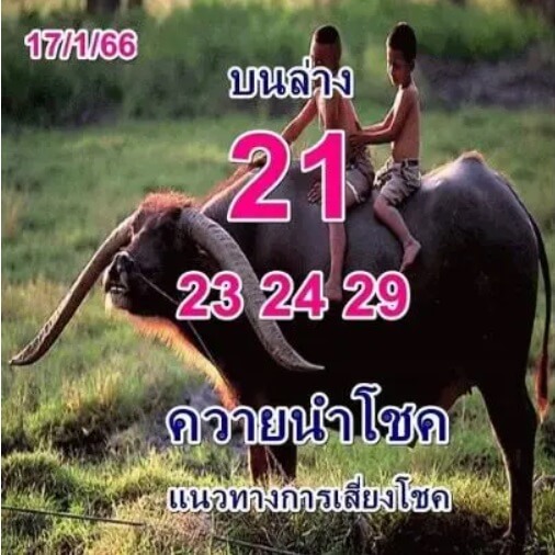 เลขดัง หวยควายนำโชค 17-1-66