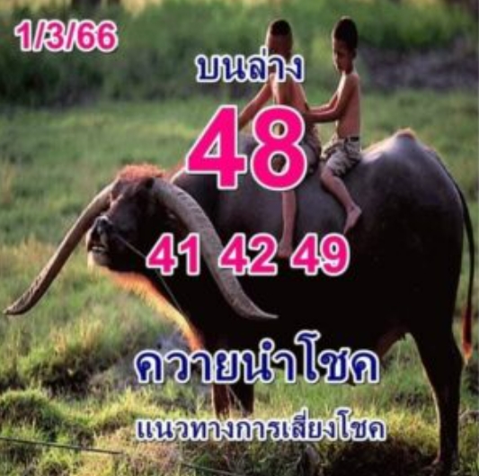 หวยควายนำโชค 1-3-66