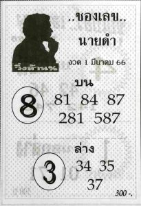 เลขนายดำ 1-3-66