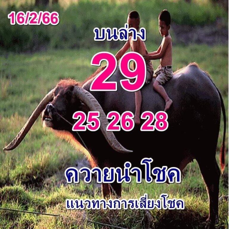 หวยควายนำโชค 16-2-66