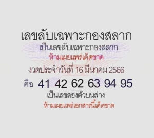 เลขลับเฉพาะกองสลาก 16-3-66