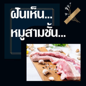 ทำนายฝัน ฝันเห็นหมูสามชั้น 2566