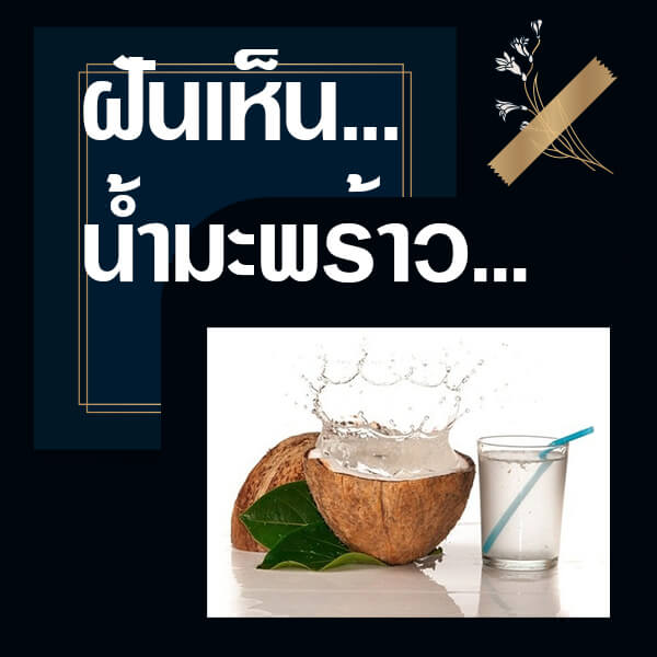 ทำนายฝัน ฝันเห็นน้ำมะพร้าว 2566