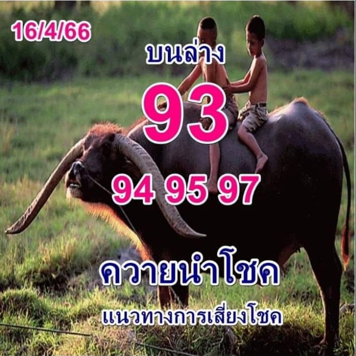 หวยควายนำโชค 16-4-66