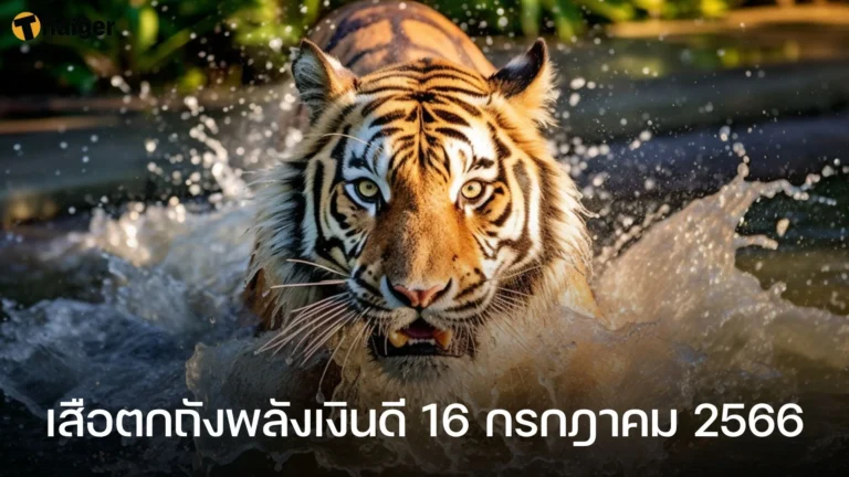 เลขเด็ด  เสือตกถัง 16-07-66